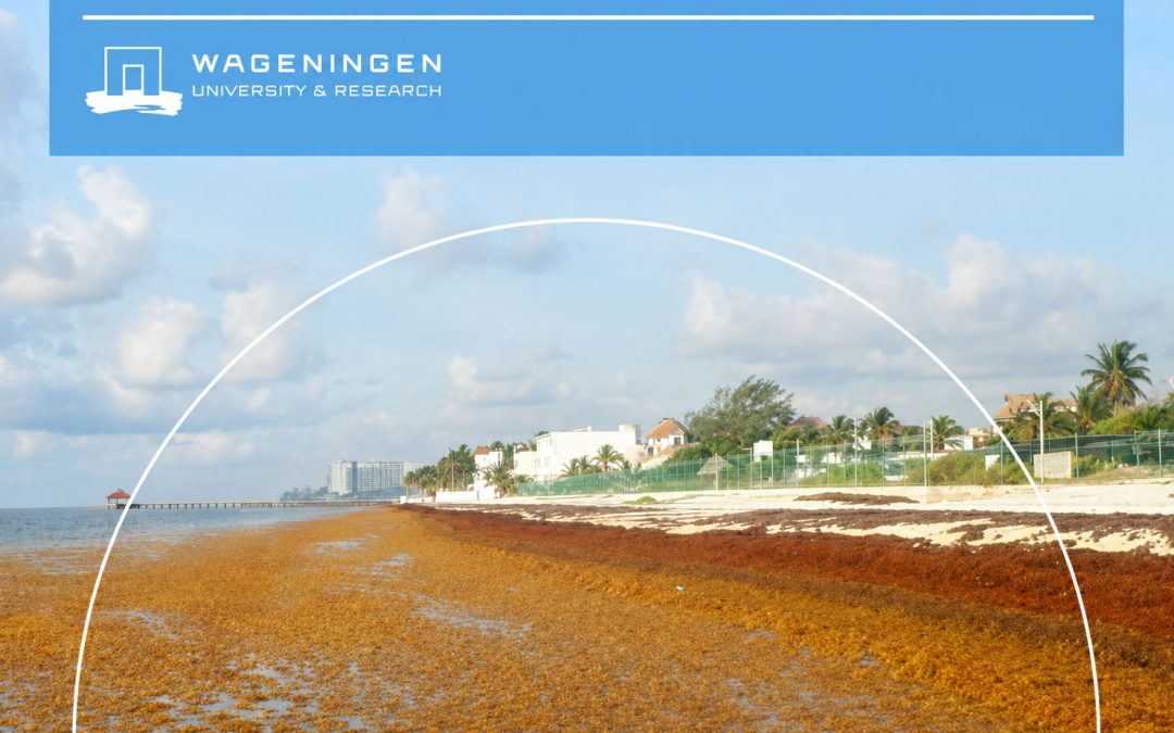WUR Publishing: Eindrapport Sargassum in Mexico